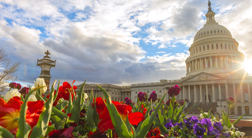 D.C. Offers Employers Guidance on New ACA-Related Individual Mandate