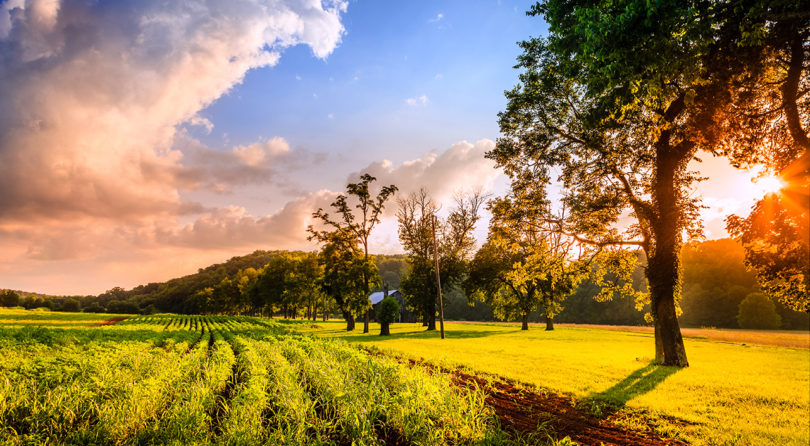 Rural America Is Concerned For The Fate Of Their Healthcare